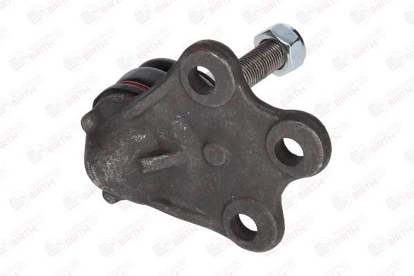 Šarnyras / girgždukas BIRTH CX0168