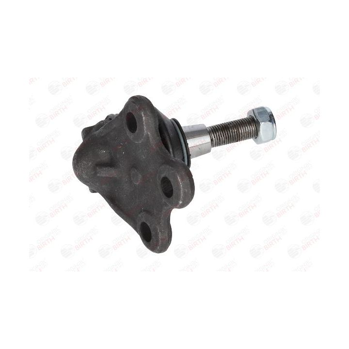 Šarnyras / girgždukas BIRTH CX0168