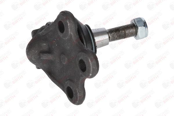 Šarnyras / girgždukas BIRTH CX0168