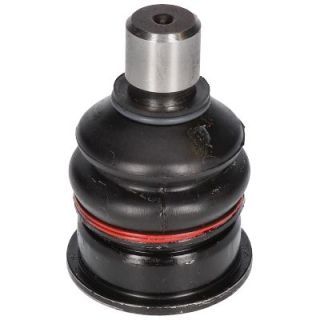 Šarnyras / girgždukas BIRTH CX0169