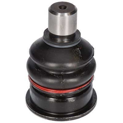 Šarnyras / girgždukas BIRTH CX0169