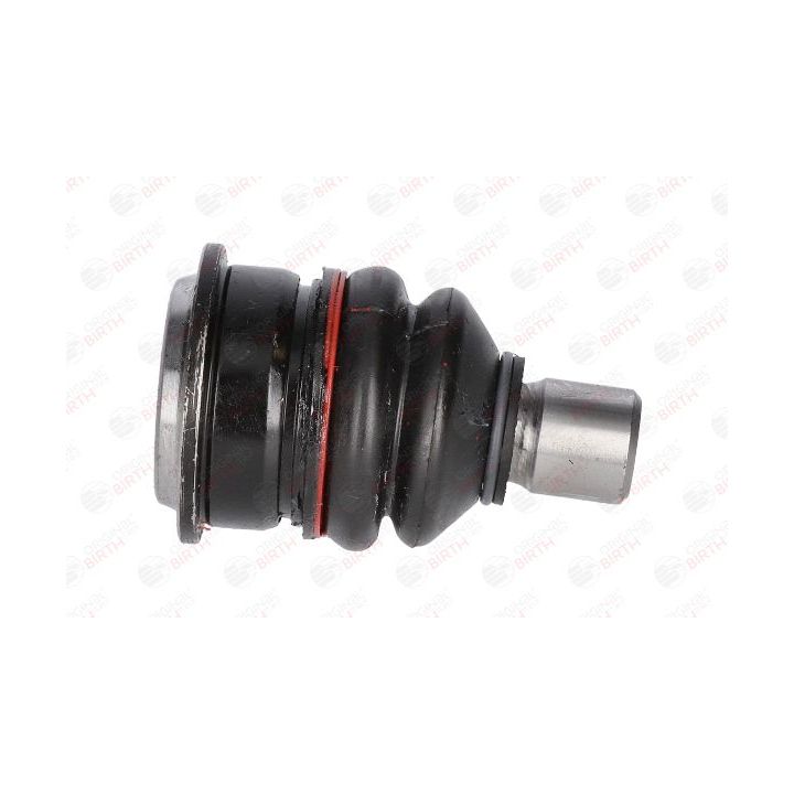 Šarnyras / girgždukas BIRTH CX0169