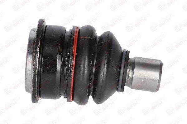 Šarnyras / girgždukas BIRTH CX0169