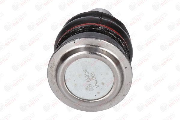 Šarnyras / girgždukas BIRTH CX0169