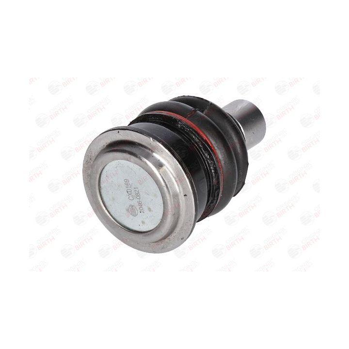 Šarnyras / girgždukas BIRTH CX0169