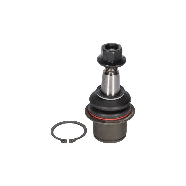 Šarnyras / girgždukas BIRTH CX0182