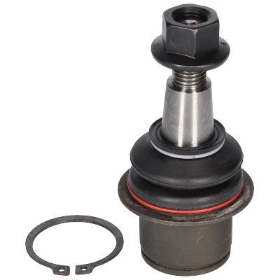 Šarnyras / girgždukas BIRTH CX0182