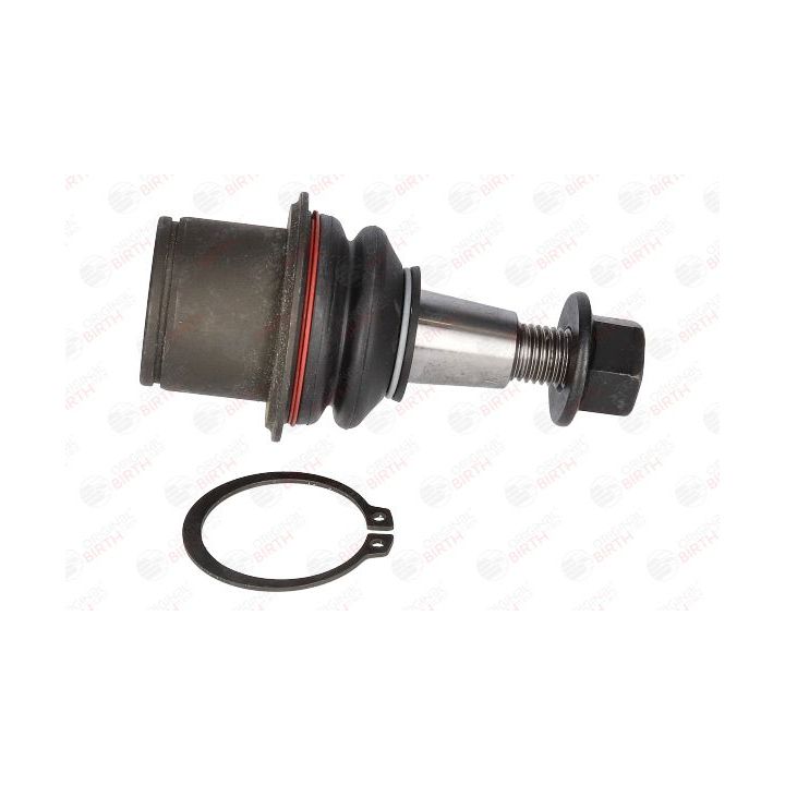 Šarnyras / girgždukas BIRTH CX0182