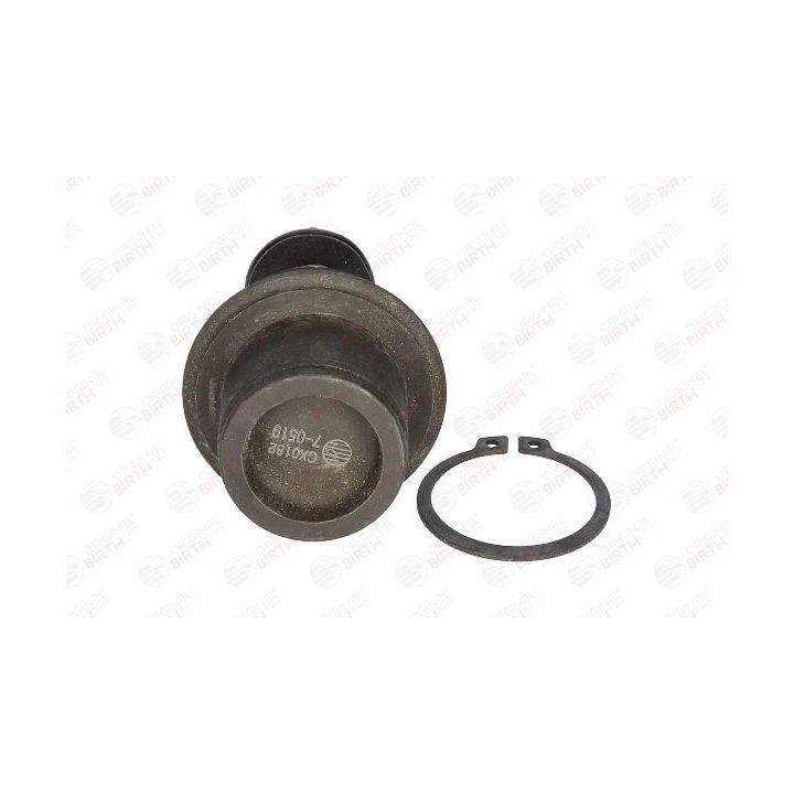 Šarnyras / girgždukas BIRTH CX0182