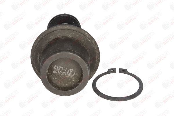 Šarnyras / girgždukas BIRTH CX0182