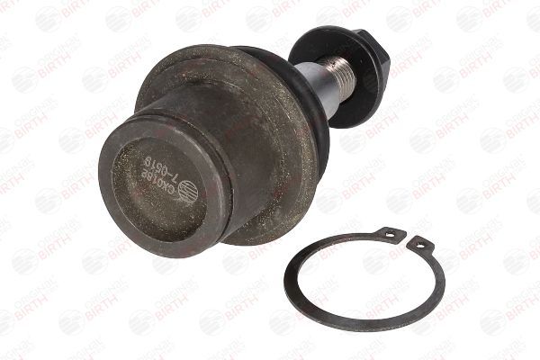 Šarnyras / girgždukas BIRTH CX0182