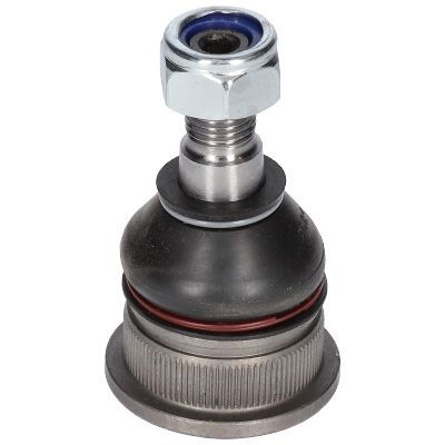 Šarnyras / girgždukas BIRTH CX0188