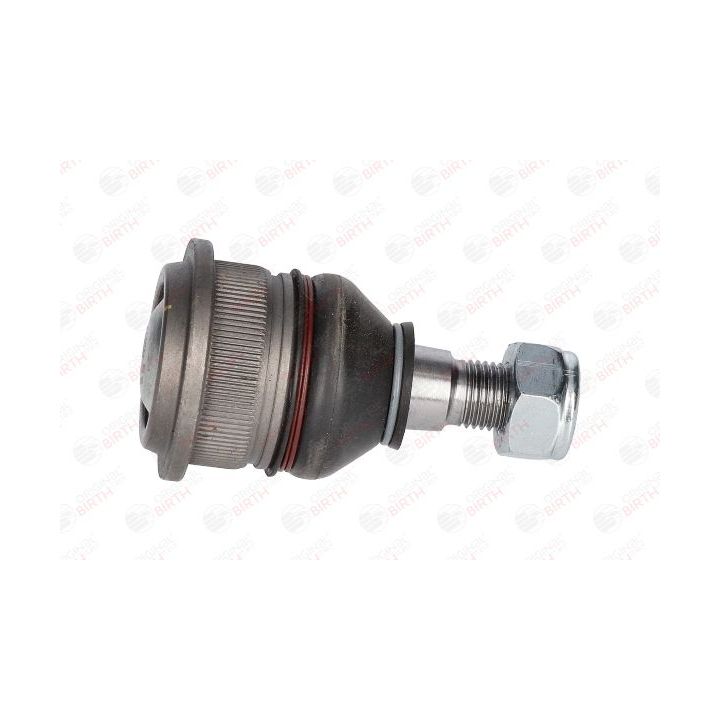 Šarnyras / girgždukas BIRTH CX0188