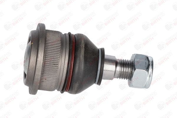 Šarnyras / girgždukas BIRTH CX0188