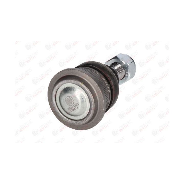 Šarnyras / girgždukas BIRTH CX0188