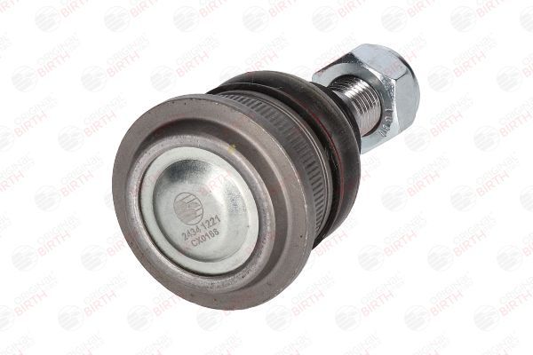 Šarnyras / girgždukas BIRTH CX0188