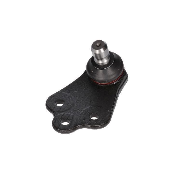 Šarnyras / girgždukas BIRTH CX0191