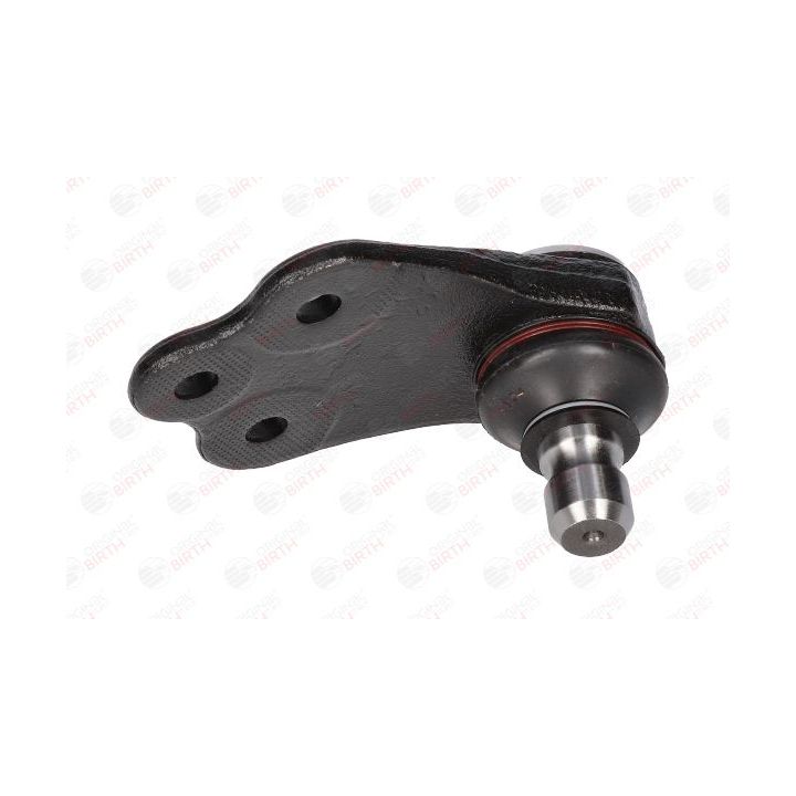 Šarnyras / girgždukas BIRTH CX0191