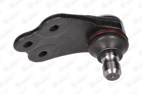 Šarnyras / girgždukas BIRTH CX0191