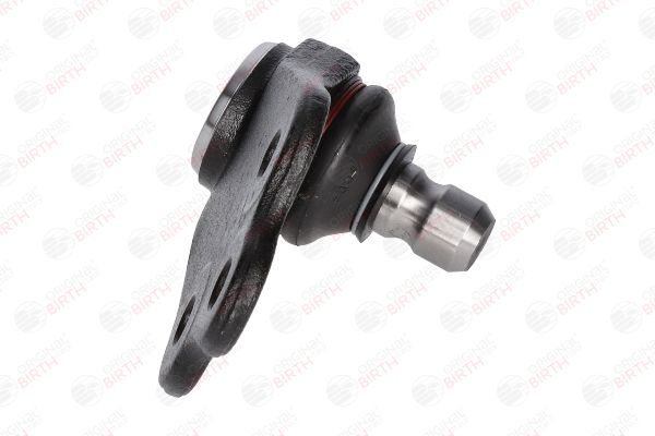 Šarnyras / girgždukas BIRTH CX0191