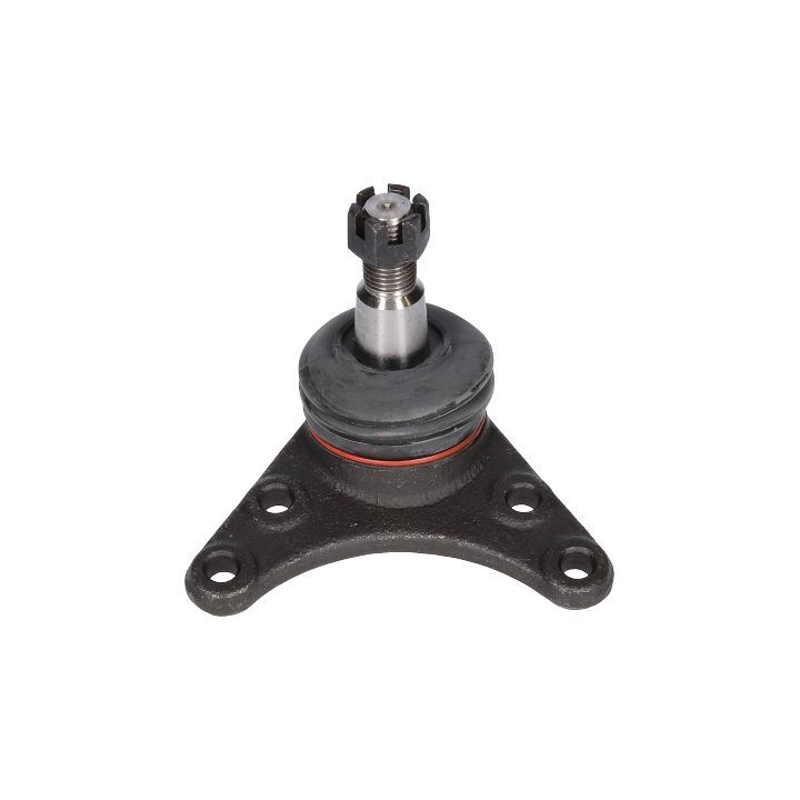 Šarnyras / girgždukas BIRTH CX0192