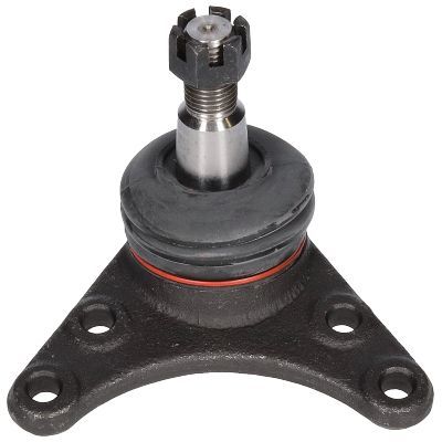 Šarnyras / girgždukas BIRTH CX0192