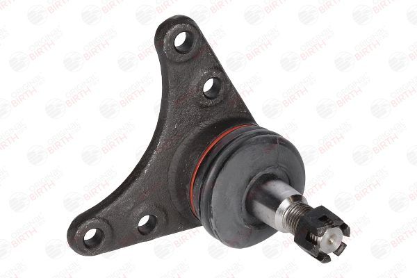 Šarnyras / girgždukas BIRTH CX0192