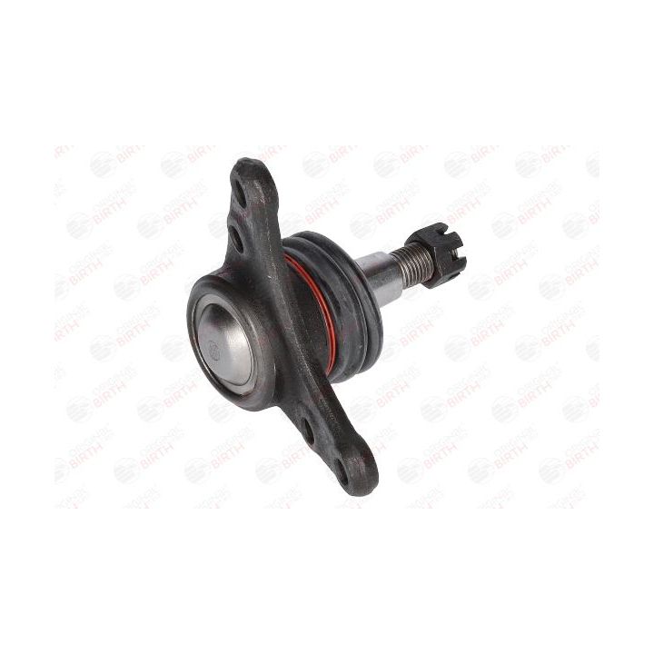 Šarnyras / girgždukas BIRTH CX0192