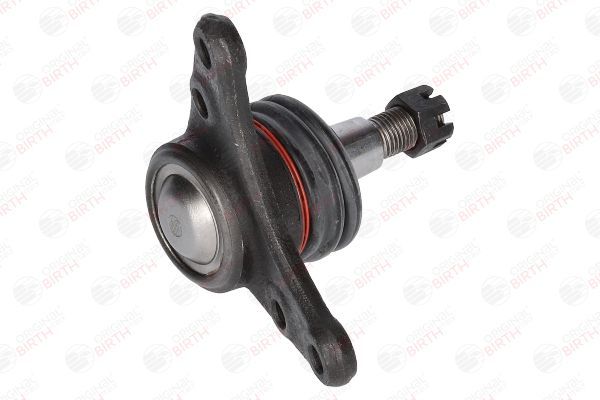 Šarnyras / girgždukas BIRTH CX0192