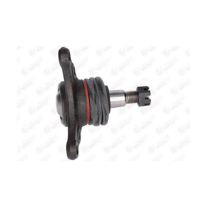 Šarnyras / girgždukas BIRTH CX0192