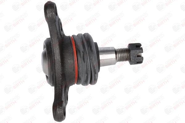 Šarnyras / girgždukas BIRTH CX0192