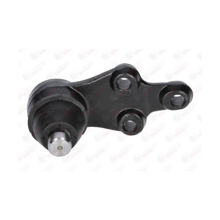 Šarnyras / girgždukas BIRTH CX0198