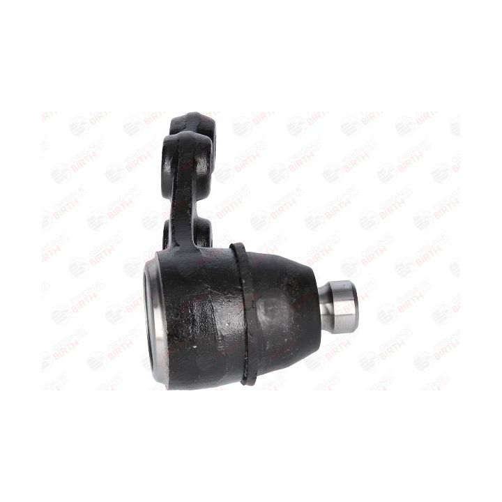 Šarnyras / girgždukas BIRTH CX0198