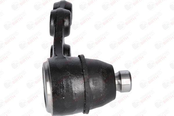 Šarnyras / girgždukas BIRTH CX0198