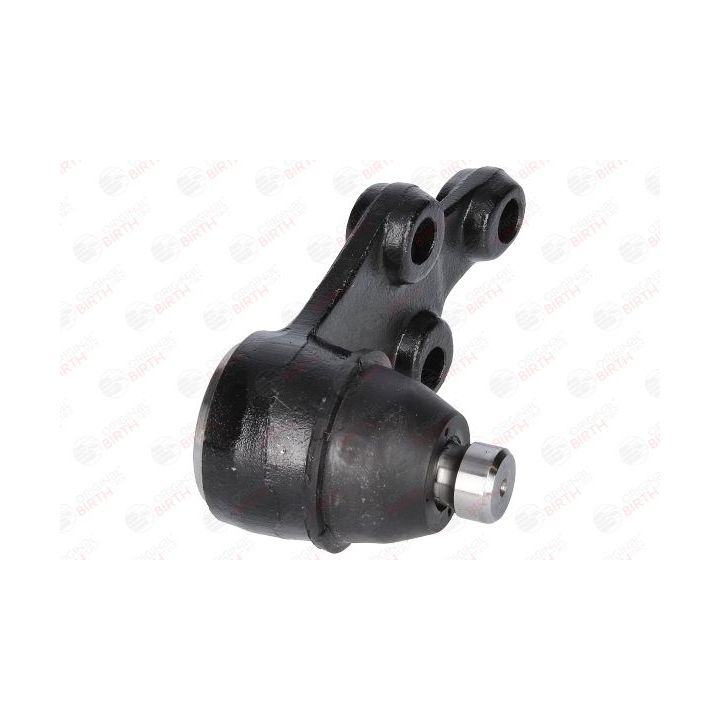 Šarnyras / girgždukas BIRTH CX0198