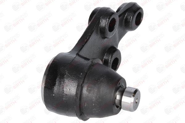 Šarnyras / girgždukas BIRTH CX0198