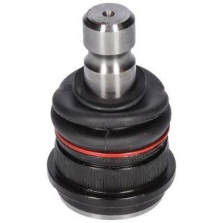 Šarnyras / girgždukas BIRTH CX0200