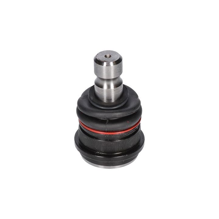 Šarnyras / girgždukas BIRTH CX0200