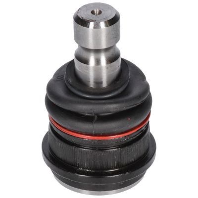 Šarnyras / girgždukas BIRTH CX0200