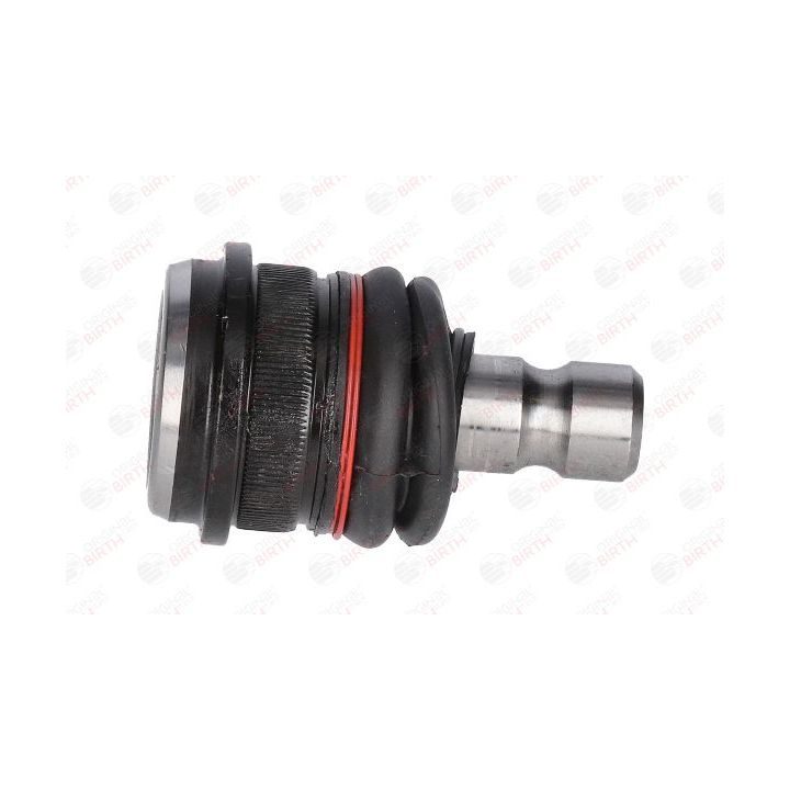 Šarnyras / girgždukas BIRTH CX0200