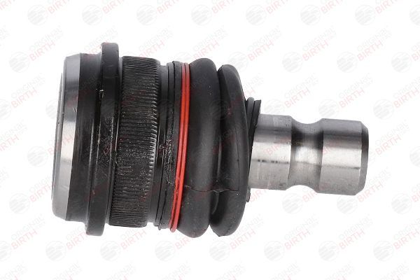 Šarnyras / girgždukas BIRTH CX0200