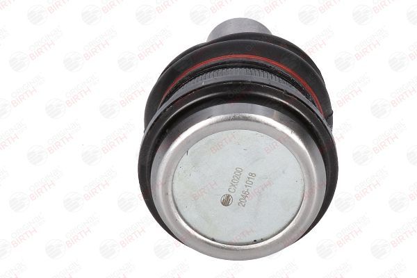 Šarnyras / girgždukas BIRTH CX0200