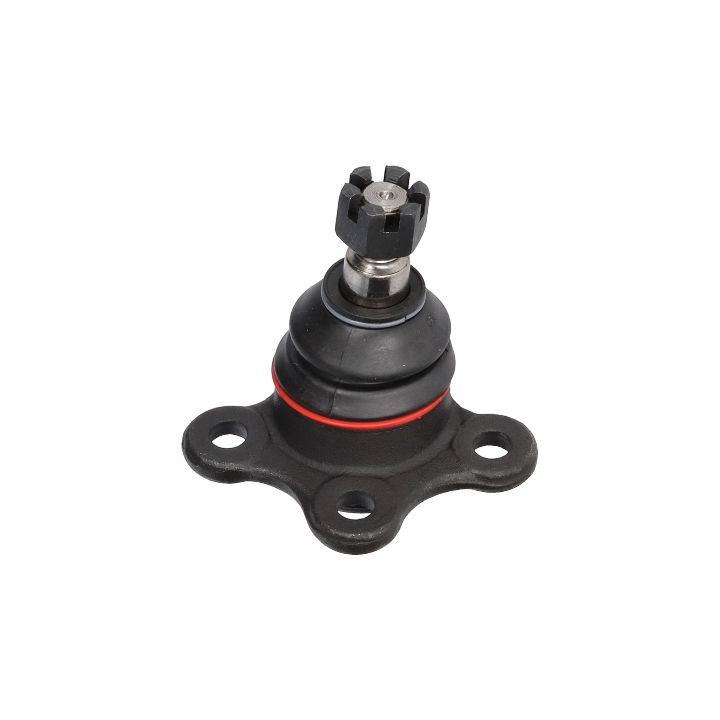 Šarnyras / girgždukas BIRTH CX0214