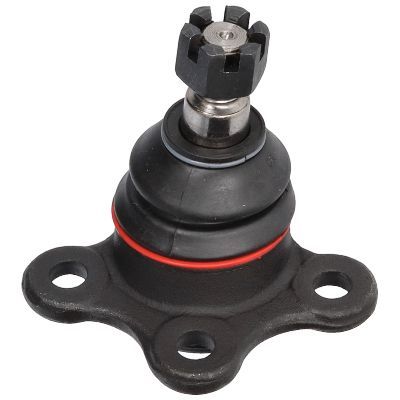 Šarnyras / girgždukas BIRTH CX0214