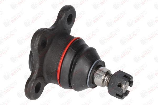 Šarnyras / girgždukas BIRTH CX0214