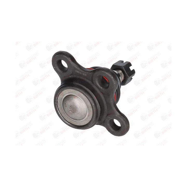 Šarnyras / girgždukas BIRTH CX0214