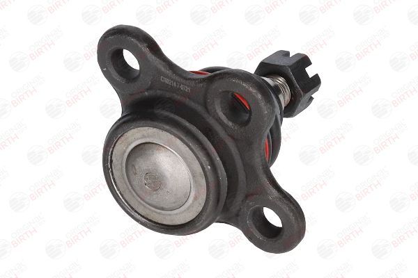 Šarnyras / girgždukas BIRTH CX0214