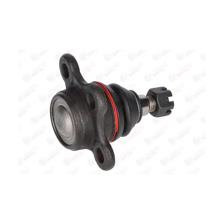 Šarnyras / girgždukas BIRTH CX0214