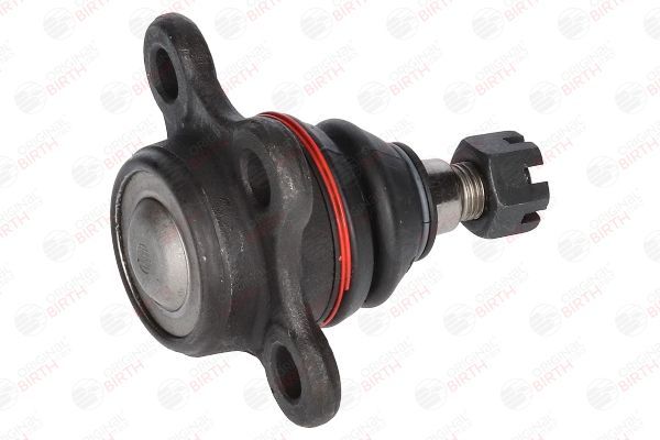 Šarnyras / girgždukas BIRTH CX0214