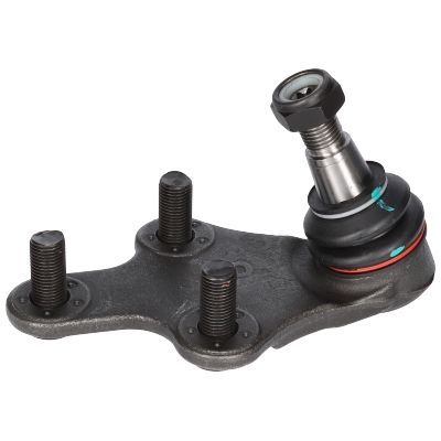 Šarnyras / girgždukas BIRTH CX0218